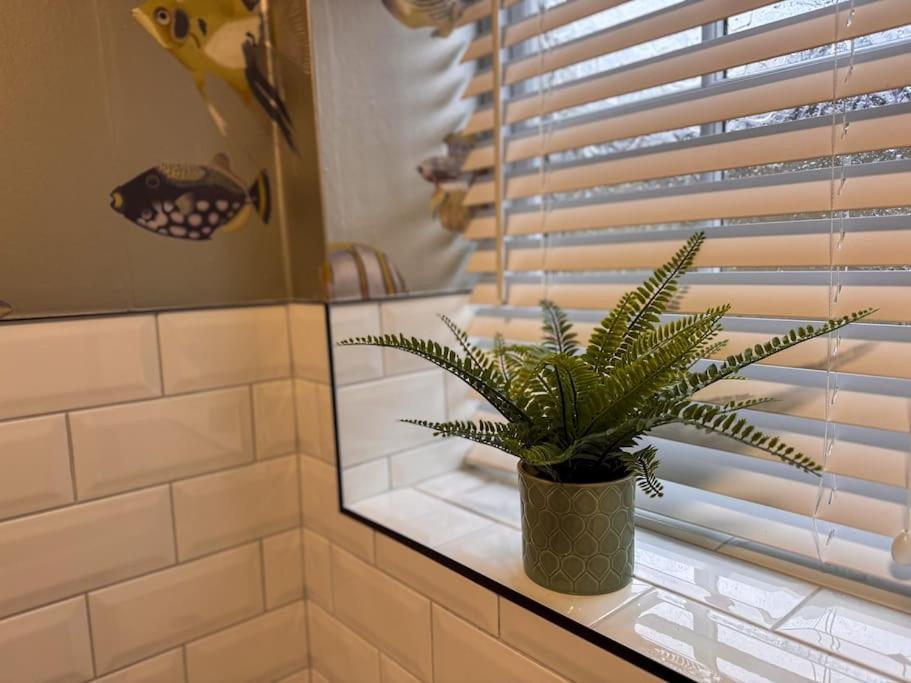Beautiful, Relaxing Home In Central Saltaire Extérieur photo